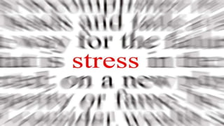 Stress PE11.pptx