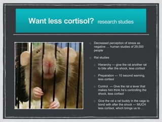 Stress In Rats Stress physiology | PPTX