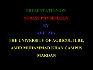 PRESENTATION ON
STRESS PHYSIOLOGY
BY
ADIL ZIA
THE UNIVERSITY OF AGRICULTURE,
AMIR MUHAMMAD KHAN CAMPUS
MARDAN
 