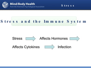 Stress Stress and the Immune System Stress  Affects Hormones Affects Cytokines Infection 