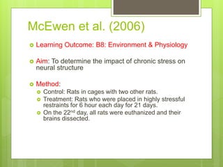 McEwen et al. (2006)
 Learning Outcome: B8: Environment & Physiology
 Aim: To determine the impact of chronic stress on
neural structure
 Method:
 Control: Rats in cages with two other rats.
 Treatment: Rats who were placed in highly stressful
restraints for 6 hour each day for 21 days.
 On the 22nd day, all rats were euthanized and their
brains dissected.
 