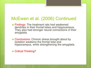 McEwen et al. (2006) Continued
 Findings: The treatment rats had weakened
dendrites in their frontal lobes and hippocampus.
They also had stronger neural connections in their
amygdala.
 Conclusions: Chronic stress brought about by
isolation weakens the frontal lobe and
hippocampus, while strengthening the amygdala.
 Critical Thinking?
 