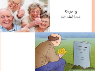 Stage : 5
late adulthood
 
