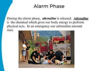 Alarm Phase
During the alarm phase, adrenaline is released. Adrenaline
is the chemical which gives our body energy to perform
physical acts. In an emergency our adrenaline amount
rises.
 