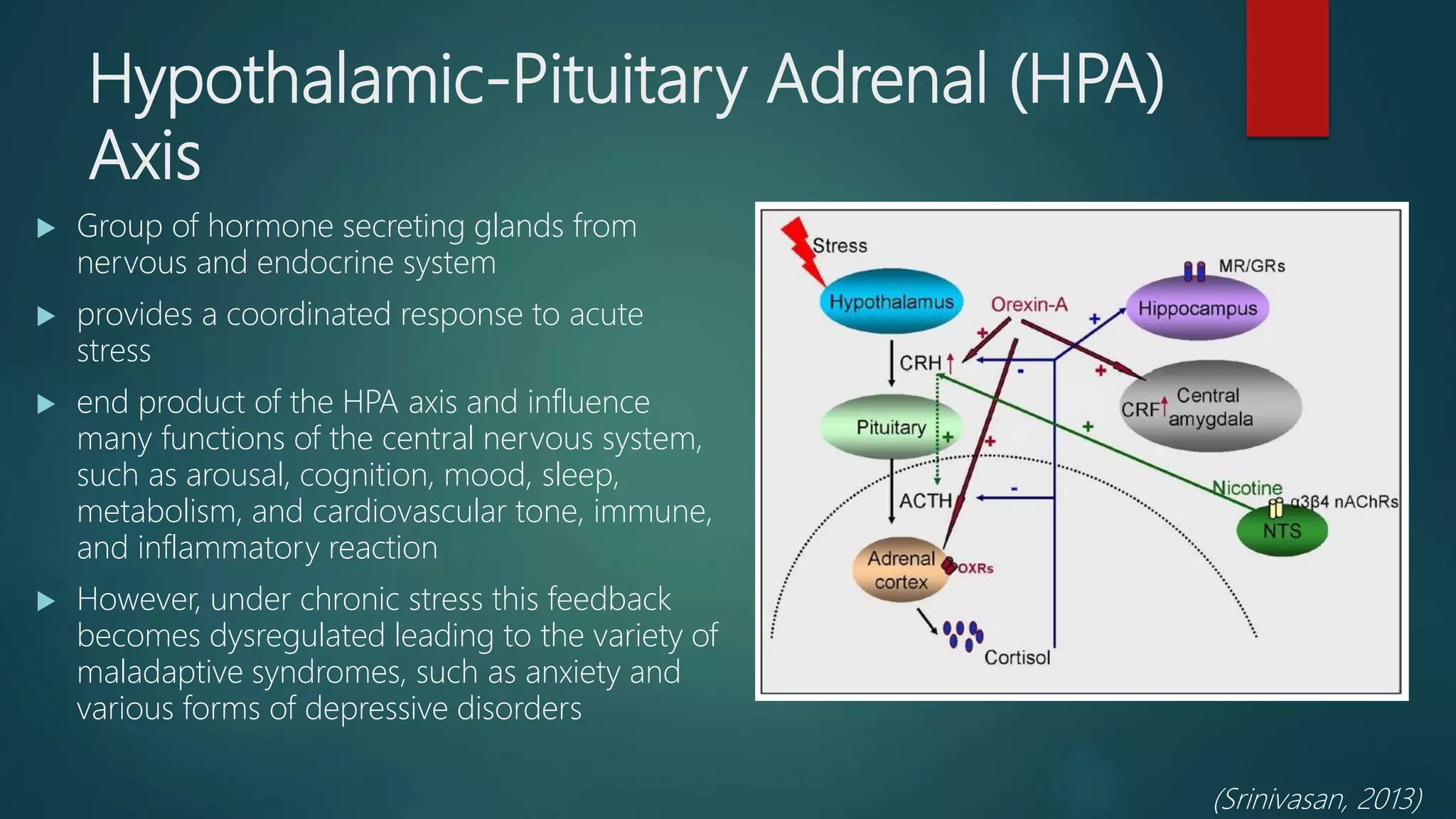 Hypothalamic-Pituitary Adrenal (HPA)
Axis
 Group of hormone secreting glands from
nervous and endocrine system
 provides a coordinated response to acute
stress
 end product of the HPA axis and influence
many functions of the central nervous system,
such as arousal, cognition, mood, sleep,
metabolism, and cardiovascular tone, immune,
and inflammatory reaction
 However, under chronic stress this feedback
becomes dysregulated leading to the variety of
maladaptive syndromes, such as anxiety and
various forms of depressive disorders
(Srinivasan, 2013)
 