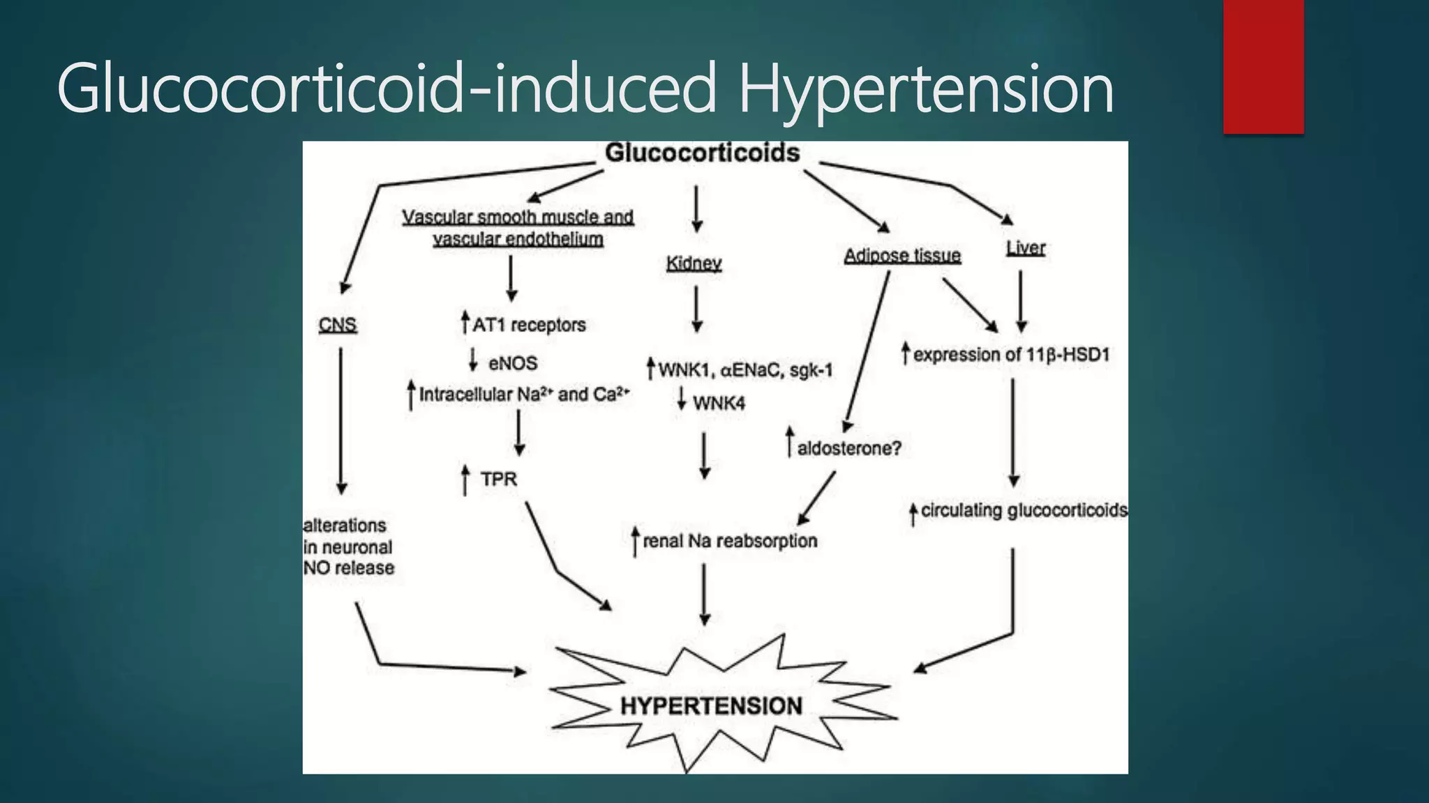 Glucocorticoid-induced Hypertension
 