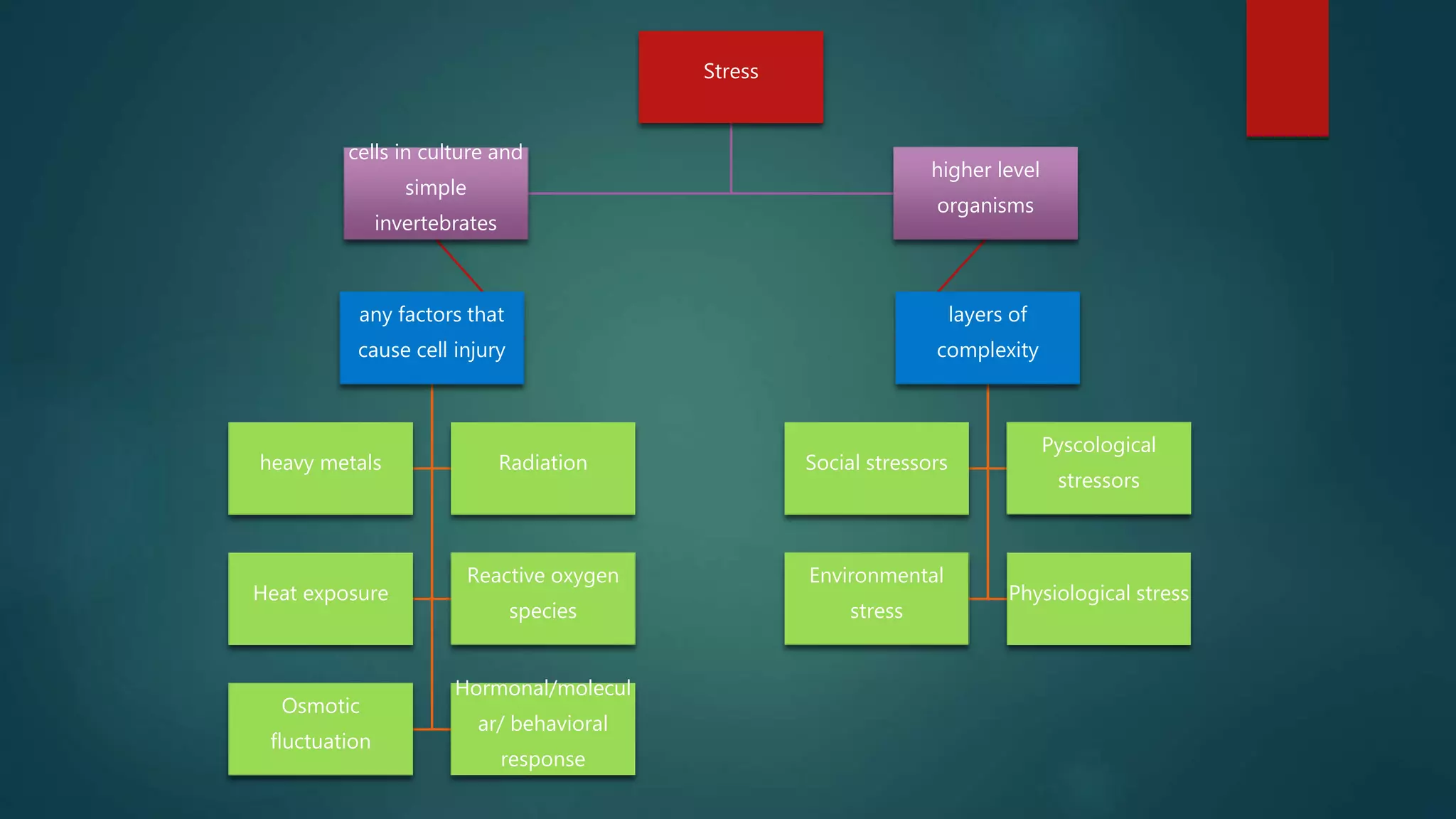 Stress
cells in culture and
simple
invertebrates
any factors that
cause cell injury
heavy metals Radiation
Heat exposure
Reactive oxygen
species
Osmotic
fluctuation
Hormonal/molecul
ar/ behavioral
response
higher level
organisms
layers of
complexity
Social stressors
Pyscological
stressors
Environmental
stress
Physiological stress
 