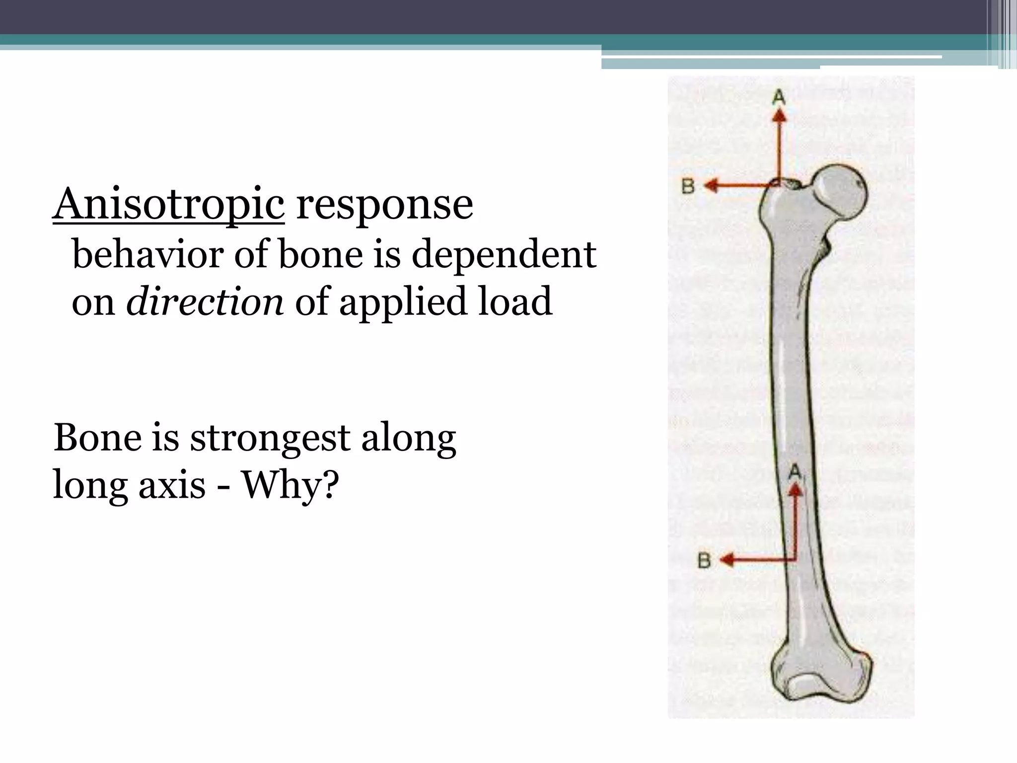Anisotropic response
behavior of bone is dependent
on direction of applied load
Bone is strongest along
long axis - Why?
 