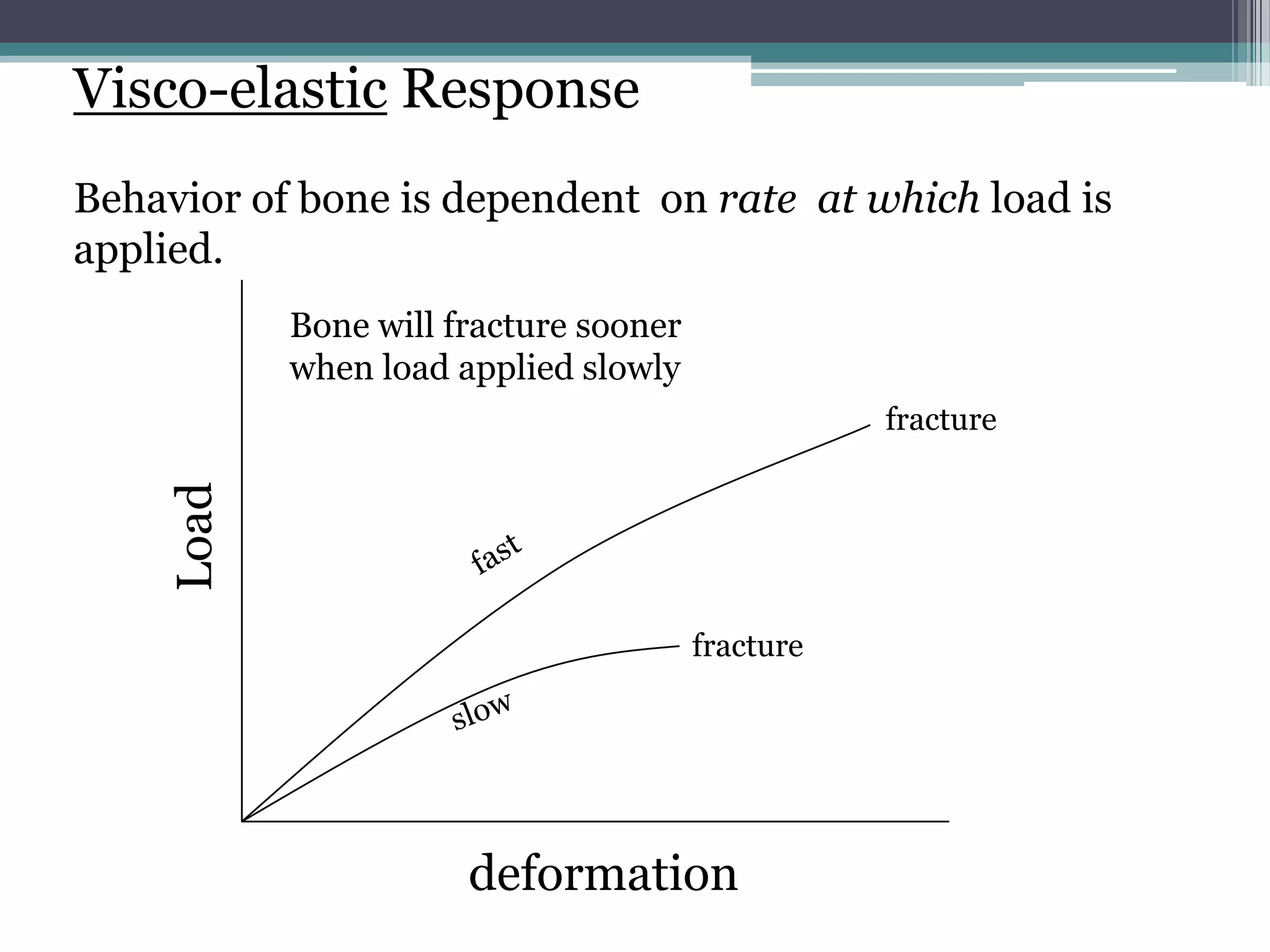 fracture
fracture
Load
deformation
Visco-elastic Response
Behavior of bone is dependent on rate at which load is
applied.
Bone will fracture sooner
when load applied slowly
 