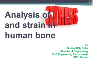 Analysis of
and strain in
human bone
1
By
Nabapallab Deka
Structural Engineering
Civil Engineering Department
NIT Silchar
 