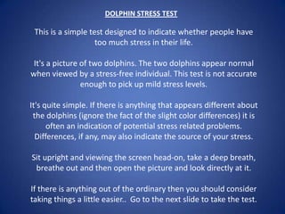 DOLPHIN STRESS TEST 