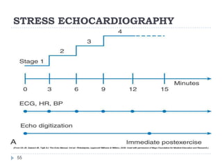 STRESS ECHOCARDIOGRAPHY
55
 