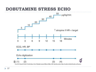 DOBUTAMINE STRESS ECHO
57
 