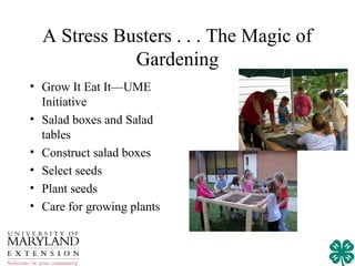 A Stress Busters . . . The Magic of
             Gardening
• Grow It Eat It—UME
  Initiative
• Salad boxes and Salad
  tables
• Construct salad boxes
• Select seeds
• Plant seeds
• Care for growing plants
 