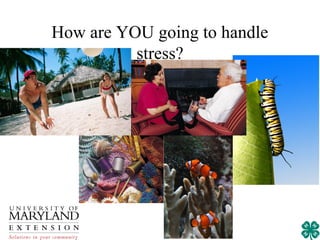 How are YOU going to handle
          stress?
 