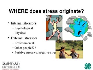 WHERE does stress originate?

• Internal stressors
  – Psychological
  – Physical
• External stressors
  – Environmental
  – Other people???
  • Positive stress vs. negative stress
 