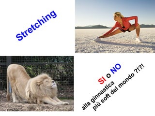 Stretching
SI o
NO
alla
ginnastica
più
soft del m
ondo
?!?!
 