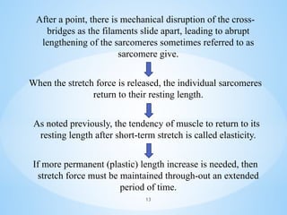 After a point, there is mechanical disruption of the cross-
bridges as the filaments slide apart, leading to abrupt
lengthening of the sarcomeres sometimes referred to as
sarcomere give.
When the stretch force is released, the individual sarcomeres
return to their resting length.
As noted previously, the tendency of muscle to return to its
resting length after short-term stretch is called elasticity.
If more permanent (plastic) length increase is needed, then
stretch force must be maintained through-out an extended
period of time.
13
 
