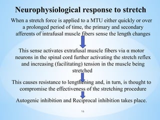 Neurophysiological response to stretch
When a stretch force is applied to a MTU either quickly or over
a prolonged period of time, the primary and secondary
afferents of intrafusal muscle fibers sense the length changes
This sense activates extrafusal muscle fibers via α motor
neurons in the spinal cord further activating the stretch reflex
and increasing (facilitating) tension in the muscle being
stretched
This causes resistance to lengthening and, in turn, is thought to
compromise the effectiveness of the stretching procedure
Autogenic inhibition and Reciprocal inhibition takes place.
16
 
