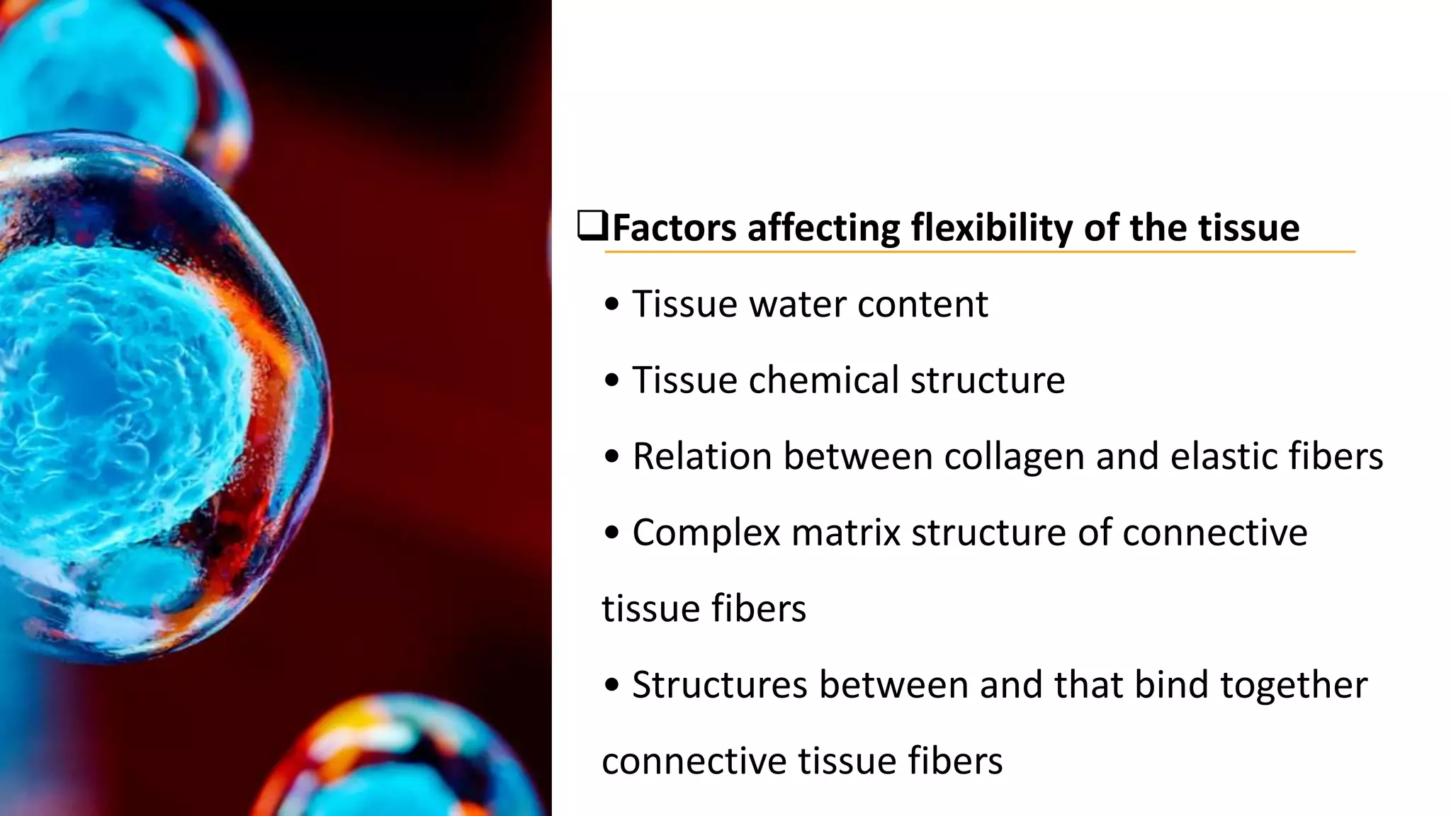Factors affecting flexibility of the tissue
• Tissue water content
• Tissue chemical structure
• Relation between collagen and elastic fibers
• Complex matrix structure of connective
tissue fibers
• Structures between and that bind together
connective tissue fibers
 