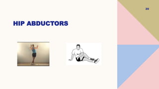 20
HIP ABDUCTORS
 