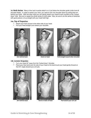14. Neck Series: Many of the neck muscles attach on or just below the shoulder girdle (collar bone &
shoulder blade). In order to stretch your neck, you need to lock one shoulder down by putting that arm
behind your back. With the other hand you can gently stretch your head & neck muscles on the “locked
down” side. Be sure to repeat the whole series on both sides. Also, be sure to do this series of stretches
with good posture; sit up straight with your head held high.
14a. Top of Trapezius:
• Reach your hand across to the other side of your head.
• Pull your head straight over toward your shoulder.
Arm behind back Hand on head Pull straight toward other shoulder
14b. Levator Scapulae:
• Turn your head 45° away from the “locked down” shoulder.
• Place your free hand over the side of your head to the back & pull your head gently forward at
that 45° angle (toward your arm-pit).
Arm behind back Hand on back of head Pull toward your arm pit
Guide to Stretching & Core Strengthening 14 of 20
 