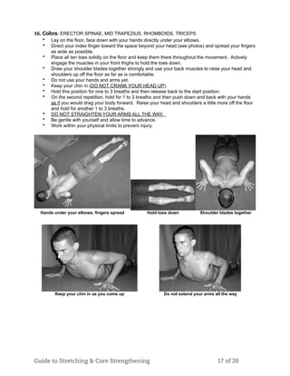 16. Cobra: ERECTOR SPINAE, MID TRAPEZIUS, RHOMBOIDS, TRICEPS
• Lay on the floor, face down with your hands directly under your elbows.
• Direct your index finger toward the space beyond your head (see photos) and spread your fingers
as wide as possible.
• Place all ten toes solidly on the floor and keep them there throughout the movement. Actively
engage the muscles in your front thighs to hold the toes down.
• Draw your shoulder blades together strongly and use your back muscles to raise your head and
shoulders up off the floor as far as is comfortable.
• Do not use your hands and arms yet.
• Keep your chin in (DO NOT CRANK YOUR HEAD UP).
• Hold this position for one to 3 breaths and then release back to the start position.
• On the second repetition, hold for 1 to 3 breaths and then push down and back with your hands
as if you would drag your body forward. Raise your head and shoulders a little more off the floor
and hold for another 1 to 3 breaths.
• DO NOT STRAIGHTEN YOUR ARMS ALL THE WAY.
• Be gentle with yourself and allow time to advance.
• Work within your physical limits to prevent injury.
Hands under your elbows, fingers spread Hold toes down Shoulder blades together
Keep your chin in as you come up Do not extend your arms all the way
Guide to Stretching & Core Strengthening 17 of 20
 