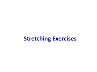 Stretching Exercises
 