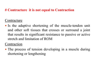 Stretching Exercises.ppt