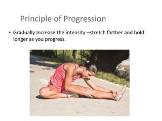 Stretching Exercises.ppt