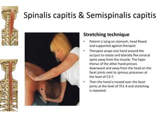 Stretching Neck region.pptx @Dr.Muskan Rastogi (PT) BPT,MPT(OBG) | PPTX