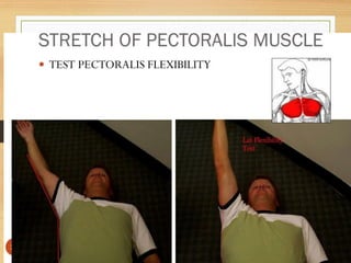 stretching third sem.pptx EXERCISE THERAPY TECHNIQUES