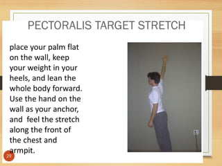 stretching third sem.pptx EXERCISE THERAPY TECHNIQUES
