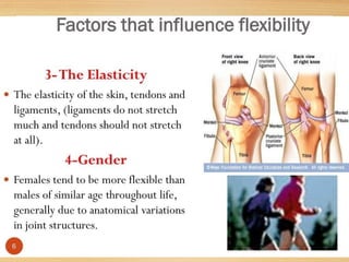 stretching third sem.pptx EXERCISE THERAPY TECHNIQUES