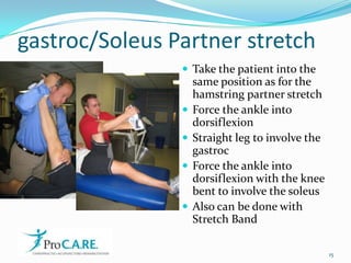 gastroc/Soleus Partner stretchTake the patient into the same position as for the hamstring partner stretchForce the ankle into dorsiflexionStraight leg to involve the gastrocForce the ankle into dorsiflexion with the knee bent to involve the soleusAlso can be done with Stretch Band15