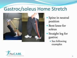 Gastroc/soleus Home StretchSpine in neutral positionBent knee for soleusStraight leg for gastrocSee following examples16