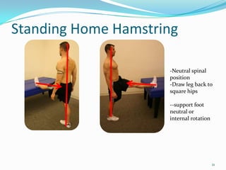 Standing Home Hamstring 21-Neutral spinal position Draw leg back to square hips