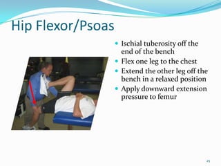 Hip Flexor/PsoasIschialtuberosity off the end of the benchFlex one leg to the chestExtend the other leg off the bench in a relaxed positionApply downward extension pressure to femur25