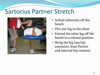 Sartorius Partner StretchIschialtuberosity off the benchFlex one leg to the chestExtend the other leg off the bench in a relaxed positionBring the leg into hip extension, knee flexion and internal hip rotation26