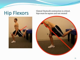 Hip Flexors29Gluteal(buttock) contraction is critical, hips must be square and not rotated