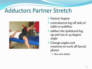 Adductors Partner StretchPatient Supinecontralateral leg off side of table to stabilizeadduct the ipsilateral leg up and out at 45 degree angleChange angles and rotations to work all fascial planesSee next slides30