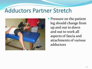 Adductors Partner StretchPressure on the patient leg should change from up and out to down and out to work all aspects of fascia and attachments of various adductors31