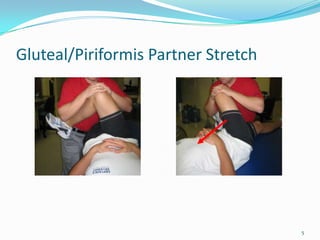 Gluteal/Piriformis Partner Stretch5