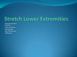 Stretch Lower Extremities Gluteals/rotators ITB/TFL Gastroc/Soleus Hamstrings  Hip /Flexors see  Adductors 1 