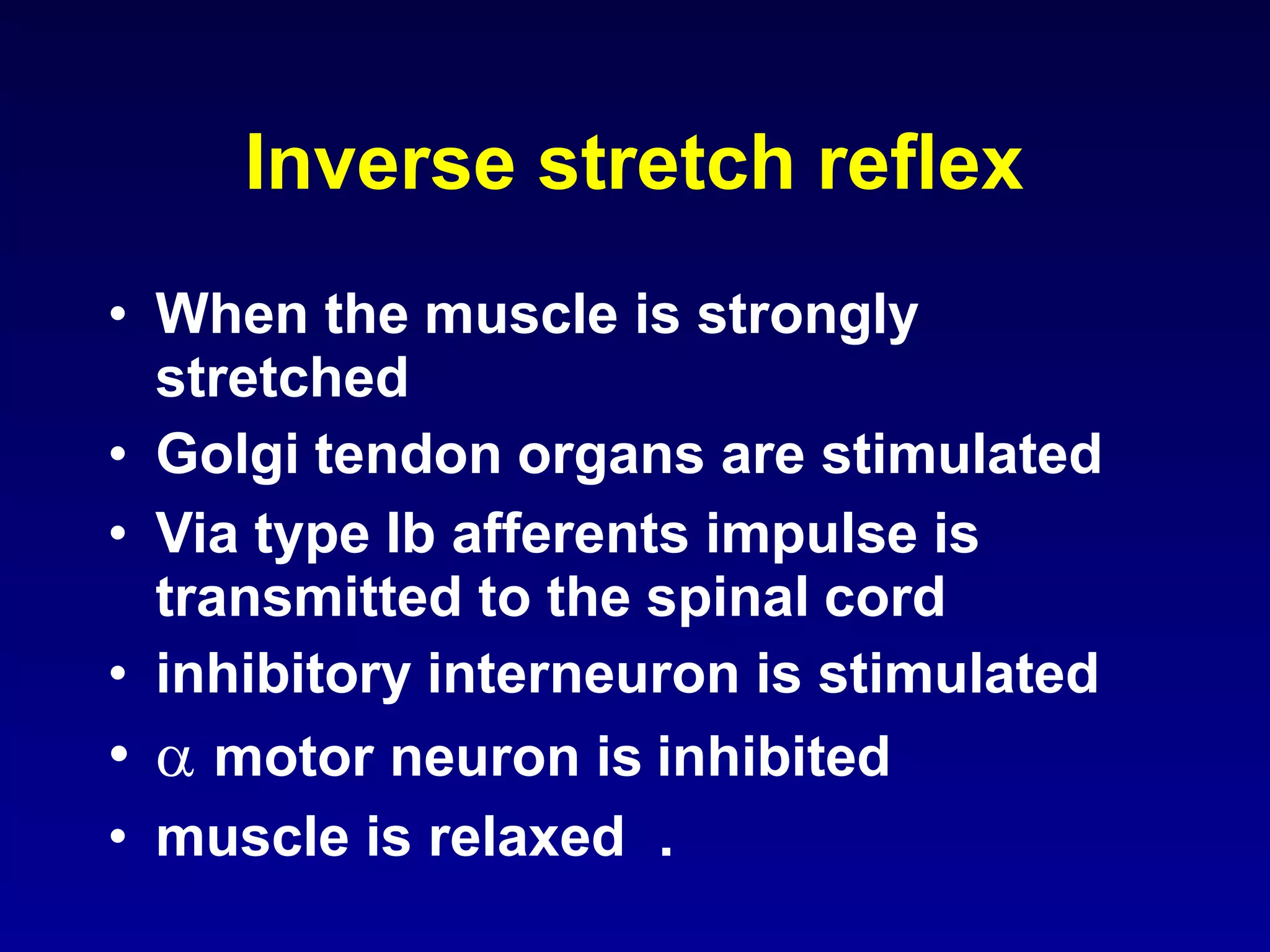 Inverse stretch reflex
• When the muscle is strongly
stretched
• Golgi tendon organs are stimulated
• Via type Ib afferents impulse is
transmitted to the spinal cord
• inhibitory interneuron is stimulated
•  motor neuron is inhibited
• muscle is relaxed .
 