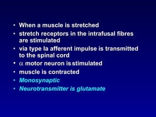 • When a muscle is stretched
• stretch receptors in the intrafusal fibres
are stimulated
• via type Ia afferent impulse is transmitted
to the spinal cord
•  motor neuron isstimulated
• muscle is contracted
• Monosynaptic
• Neurotransmitter is glutamate
 