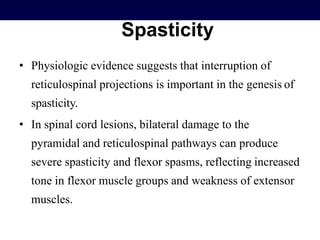 Spasticity
• Physiologic evidence suggests that interruption of
reticulospinal projections is important in the genesis of
spasticity.
• In spinal cord lesions, bilateral damage to the
pyramidal and reticulospinal pathways can produce
severe spasticity and flexor spasms, reflecting increased
tone in flexor muscle groups and weakness of extensor
muscles.
 