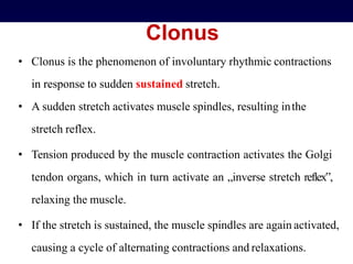 Clonus
• Clonus is the phenomenon of involuntary rhythmic contractions
in response to sudden sustained stretch.
• A sudden stretch activates muscle spindles, resulting inthe
stretch reflex.
• Tension produced by the muscle contraction activates the Golgi
tendon organs, which in turn activate an „inverse stretch reflex‟,
relaxing the muscle.
• If the stretch is sustained, the muscle spindles are again activated,
causing a cycle of alternating contractions and relaxations.
 