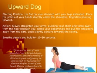 Upward Dog
Starting Position: Lie flat on your stomach with your legs extended. Place
the palms of your hands directly under the shoulders, fingertips pointing
forward.
Action: Slowly straighten your arms, pushing your chest and torso away
from the floor beneath you. Relax your abdominals and pull the shoulders
away from the ears. Look slightly upward towards the ceiling.
Breathe deeply and hold for 10-30 seconds.
**Stretch to the point of "mild
discomfort," not to the point of pain.
Never bounce. Reduce the intensity of
this stretch by not straightening the
arms as much (or by placing your
elbows on the floor instead of your
hands). This is a good compliment to
"Child’s Pose" stretch.
 