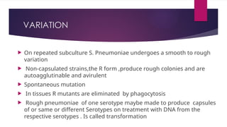 VARIATION
 On repeated subculture S. Pneumoniae undergoes a smooth to rough
variation
 Non-capsulated strains,the R form ,produce rough colonies and are
autoagglutinable and avirulent
 Spontaneous mutation
 In tissues R mutants are eliminated by phagocytosis
 Rough pneumoniae of one serotype maybe made to produce capsules
of or same or different Serotypes on treatment with DNA from the
respective serotypes . Is called transformation
 